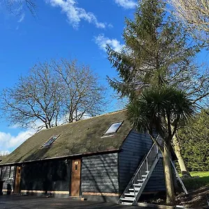 https://the-forest-wooden-flat.brighton-hotels-england.com